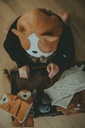 Kapi Hat Pug