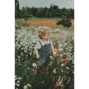 Dawsey Jumpsuit