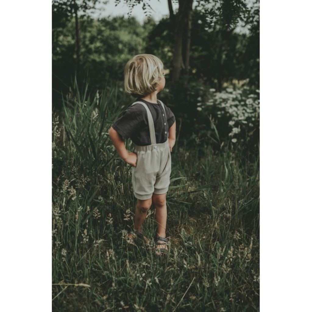 Abel Shorts